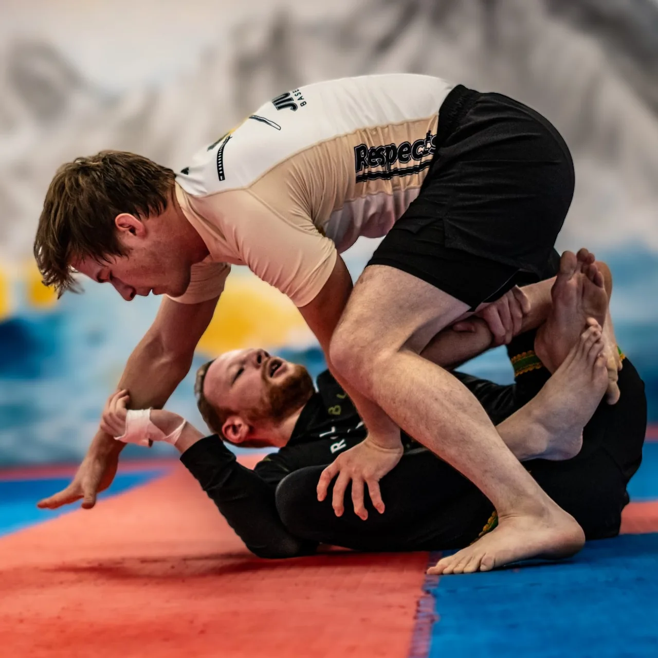 Pratique du grappling illustrée sur le site AFL